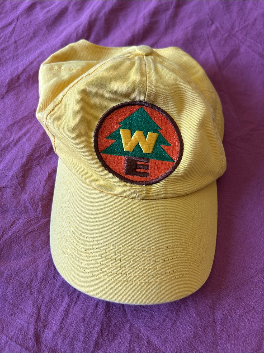 Disney Hat